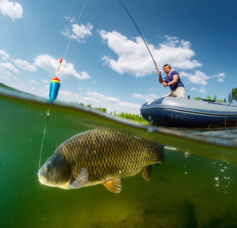 Where to Find the Best Fishing Spots Near Bentonville, AR – Crain