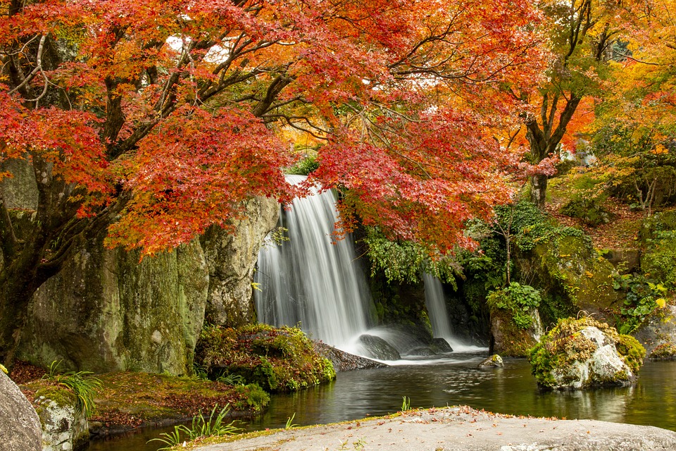 A waterfall flowing down into a river surrounded by greenery. | Crain Kia of Bentonville, AR