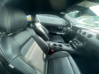 2023 Ford Mustang EcoBoost Premium - NITE PONY PKG / AMBIENT LIGHTING