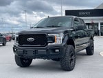2020 Ford F-150 XL - 5.0L V8 / STX APPEARANCE PKG