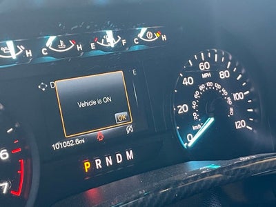 2020 Ford F-150 XL - 5.0L V8 / STX APPEARANCE PKG