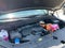 2026 Kia Carnival Hybrid LXS