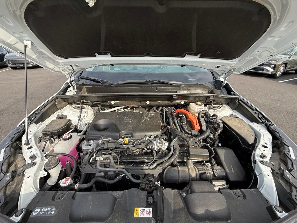 2024 Toyota Venza XLE