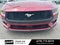 2025 Ford Mustang EcoBoost - CLEAN CARFAX / ONE OWNER