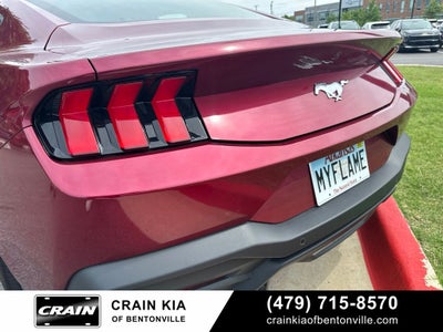 2025 Ford Mustang EcoBoost - CLEAN CARFAX / ONE OWNER