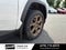 2024 Toyota RAV4 Hybrid Woodland Edition - AWD / CLEAN CARFAX / ONE OWNER