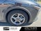 2025 Kia K4 LXS - KIA CPO / CARFAX ONE OWNER