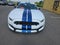 2018 Ford Mustang Shelby GT350 ELECTRONICS PACKAGE / 6-SPEED MANUAL / 5.2 L V8