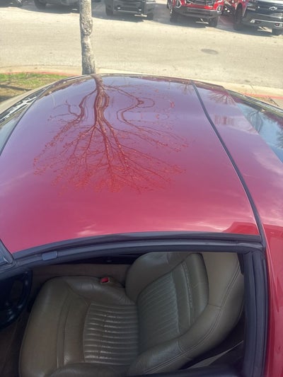 1998 Chevrolet Corvette Base CLEAN CARFAX!! 51K MILES, 6-SPEED