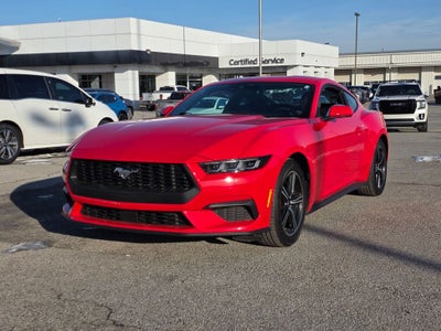 2025 Ford Mustang EcoBoost
