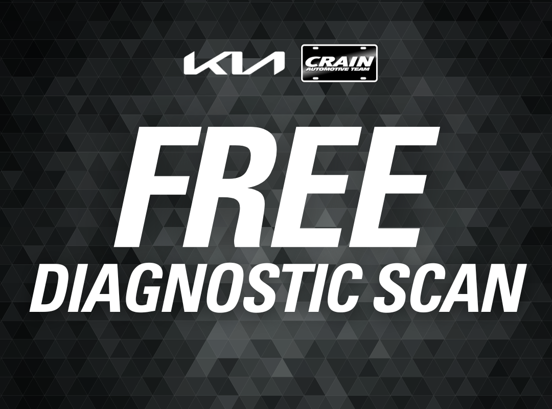 Free Diagnostic Scan